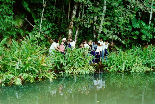 Instituto Rã-bugio para Conservação da Biodiversidade