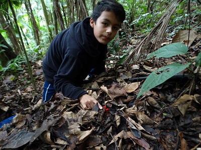 Aluno da EEB Almirante Tamandaré de Guaramirim (SC) o observando os fungos durante as atividades interativas com a natureza realizada em 22-05-2019 na RPPN Santuário Rã-bugio