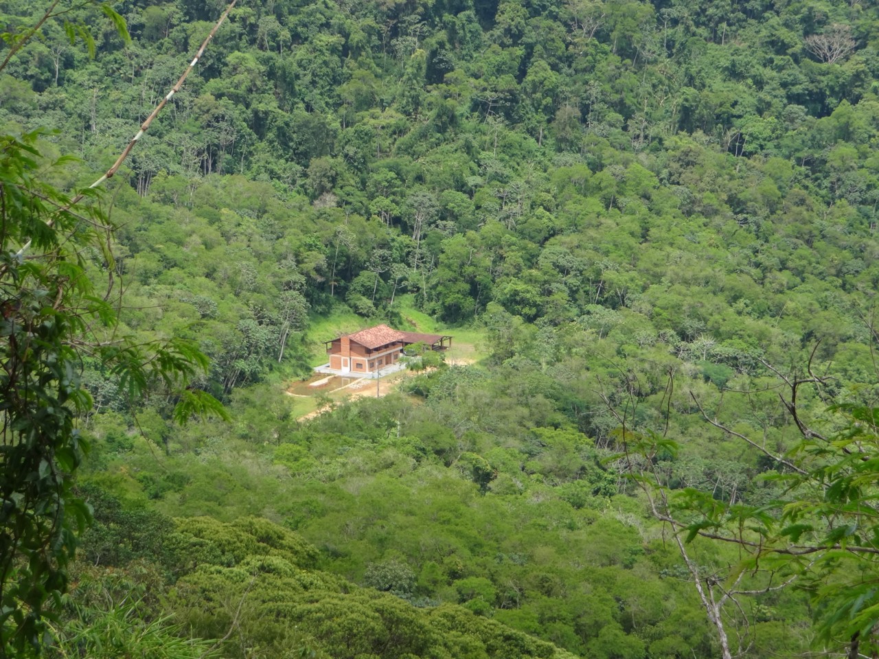 Instituto Rã-bugio para Conservação da Biodiversidade