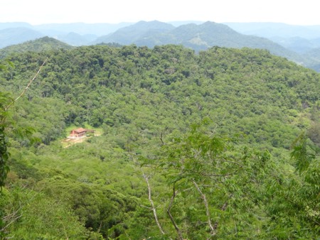 Centro Interpretativo da Mata Atlântica - Serra do Mar - Jaraguá do Sul - Santa Catarina