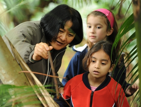 Estudantes do projeto de educação ambiental em atividades de interpretação de trilha na RPPN Santuário Rã-bugio