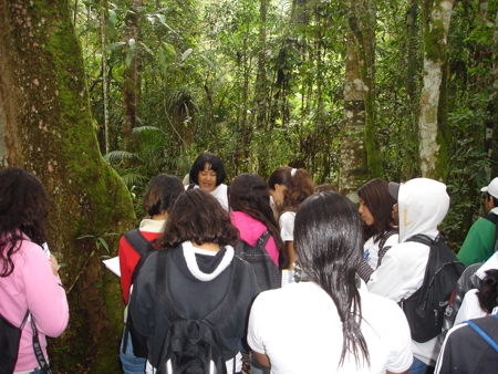 Estudantes da Escola Estadual Marechal Rondon, de São José dos Campos (SP), atendidos pelo projeto de educação ambiental do Instituto Rã-bugio na trilha interpretativa da Reserva Ecológica Augusto Ruschi