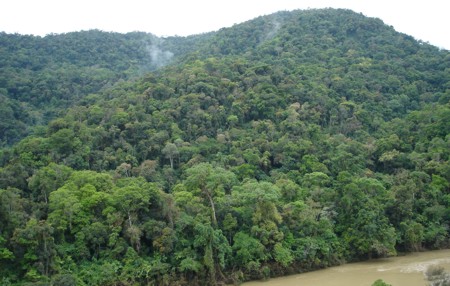 Mata Ciliar do Rio Itajai protegida na RPPN Corredeiras do Rio Itajai