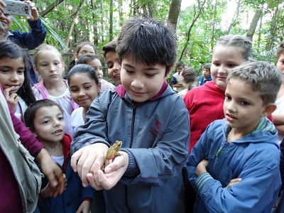 Educação Ambiental - Campanha BrazilFoundation Crianças em contato com a natureza