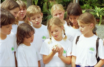 Projeto de Educação Ambiental com Estudantes da Escola de Educação Básica Teresa Ramos, de Corupá, Santa Catarina - Força Tarefa para Salvar os Anfíbios da Mata Atlântica